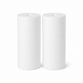 10" x 4.5" Big Blue PP Sediment Water Filter Cartridge – 2 Pack