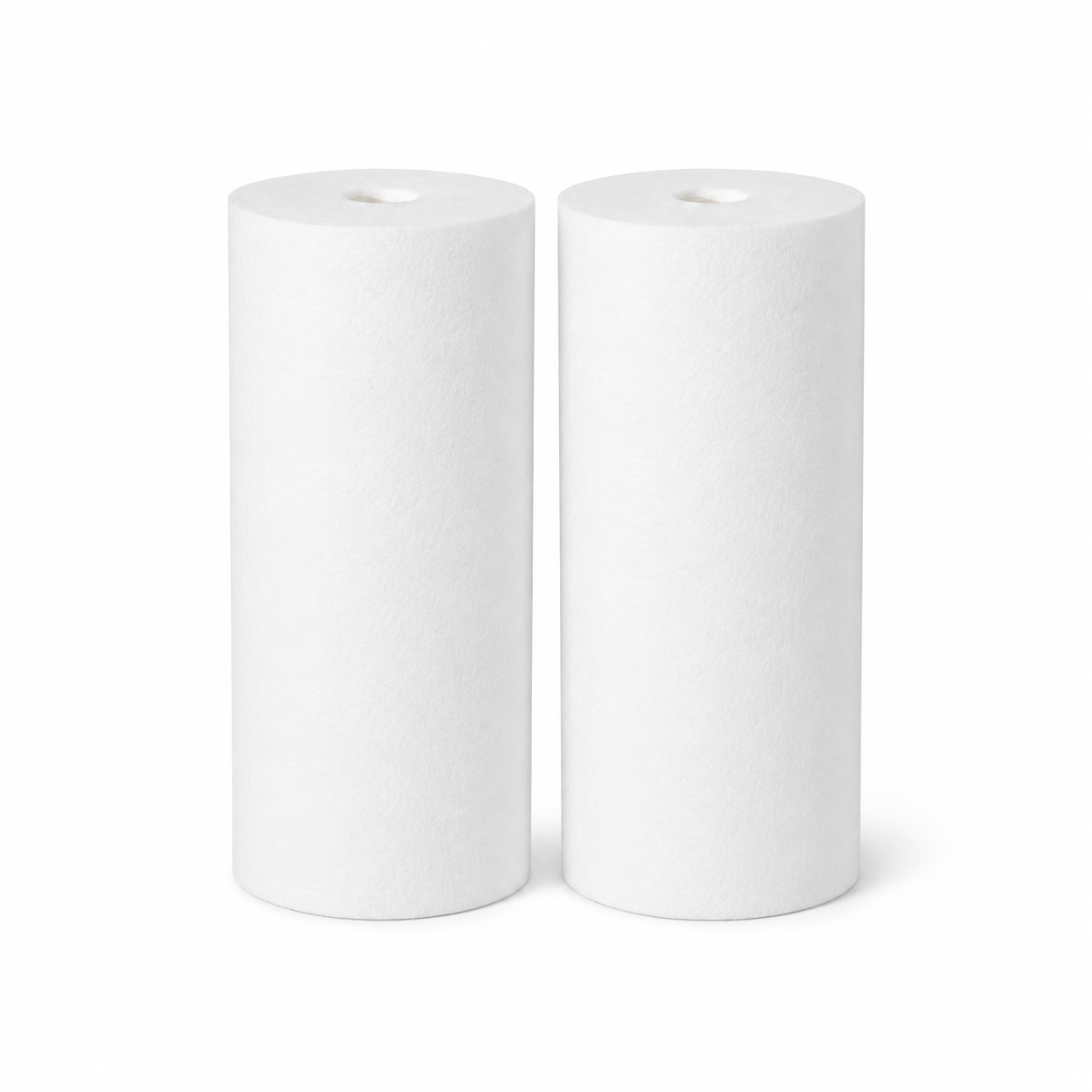 10" x 4.5" Big Blue PP Sediment Water Filter Cartridge – 2 Pack
